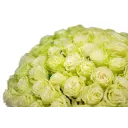 Kytice bílých růží